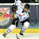 KRUG20110122100.jpg