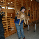 image013.jpg