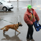 image036.jpg