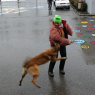 image037.jpg
