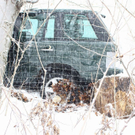 normal_24012011kuebergtaaktivnews_03.jpg