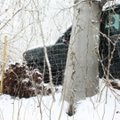 normal_24012011kuebergtaaktivnews_05.jpg