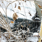 normal_24012011kuebergtaaktivnews_07.jpg