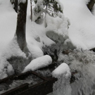 normal_24012011ebenauwinterschlaffdaktivnews_055.jpg