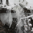 normal_24012011ebenauwinterschlaffdaktivnews_057.jpg