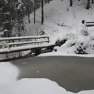 normal_24012011ebenauwinterschlaffdaktivnews_058.jpg