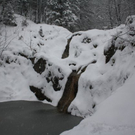 normal_24012011ebenauwinterschlaffdaktivnews_059.jpg