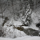 normal_24012011ebenauwinterschlaffdaktivnews_060.jpg