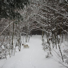 normal_24012011ebenauwinterschlaffdaktivnews_064.jpg