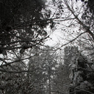 normal_24012011ebenauwinterschlaffdaktivnews_066.jpg