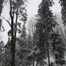 normal_24012011ebenauwinterschlaffdaktivnews_079.jpg
