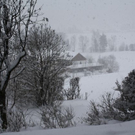 normal_24012011ebenauwinterschlaffdaktivnews_088.jpg