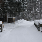 normal_24012011ebenauwinterschlaffdaktivnews_090.jpg