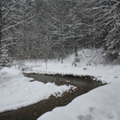normal_24012011ebenauwinterschlaffdaktivnews_094.jpg