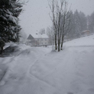 normal_24012011ebenauwinterschlaffdaktivnews_097.jpg
