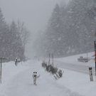 normal_24012011ebenauwinterschlaffdaktivnews_100.jpg