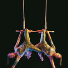 Duotrapeze1.jpg