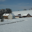145.JPG