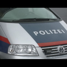 normal_25012011vua1mondseeffaktivnews_06.jpg