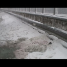normal_25012011vua1mondseeffaktivnews_19.jpg