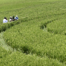 DAB1511-20110125.jpg