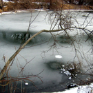 Ufer im Winter