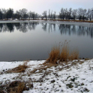 IMG_2050_JPG-1295992534