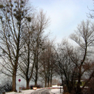 IMG_1870_JPG-1295992545