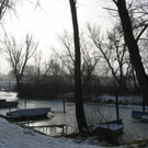 IMG_1878_JPG-1295992555