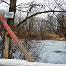 IMG_1896_JPG-1295992567