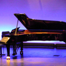 108_8516_jpg-1295999298