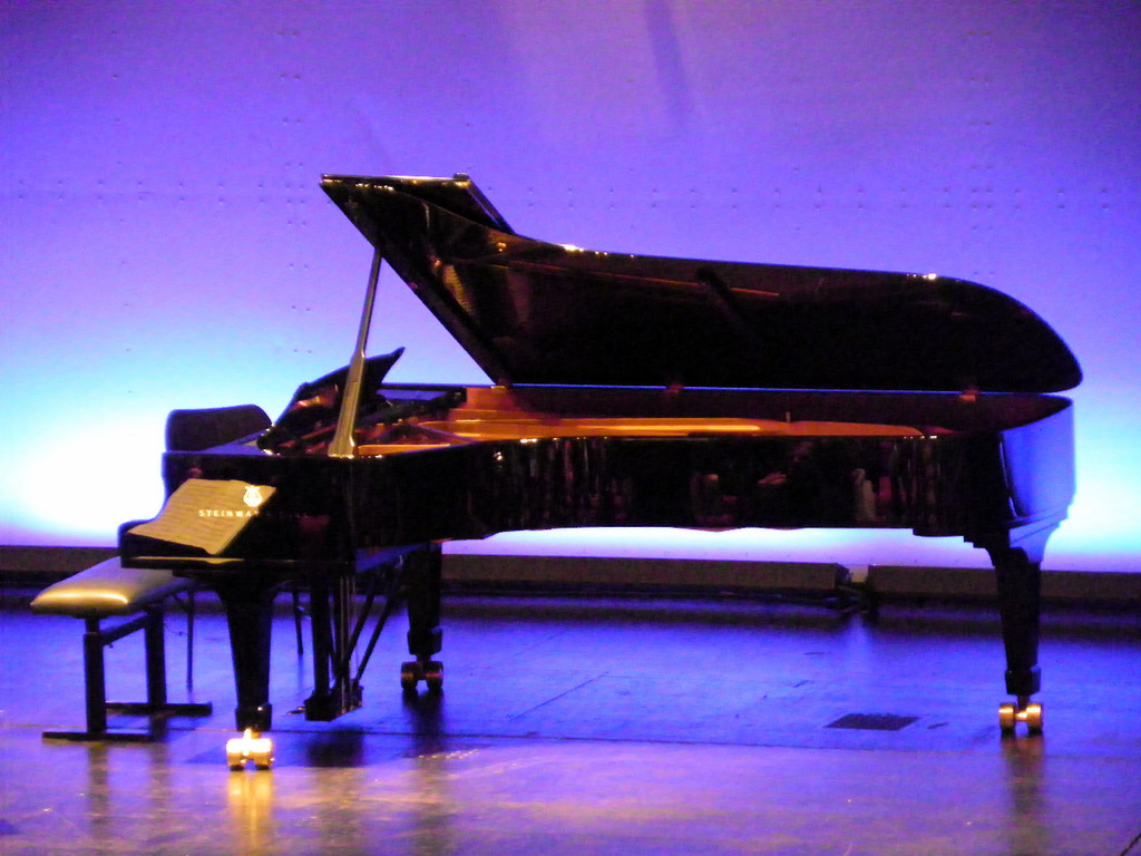 108_8516_jpg-1295999298