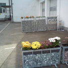 sony erikson- 230_JPG-1296046508