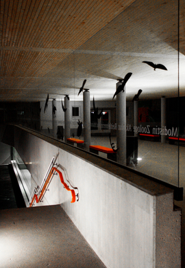 Turnsaal neu _16__JPG-1296052788