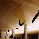Turnsaal neu _17__JPG-1296052816
