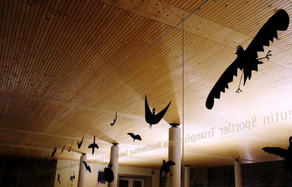 Turnsaal neu _17__JPG-1296052816