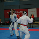 IMGP8803.JPG