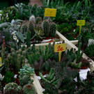 20091128_haustiermesse_0295.jpg