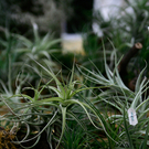 20091128_haustiermesse_0298.jpg