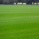 dc1-5wdfxsk4gaw1k6v782co_original.jpg