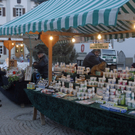085_bearbeitet-1_jpg-1296133347
