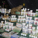037_bearbeitet-1_jpg-1296135146