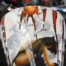 177_Motorradwelt_202010_Messe-FN.jpg
