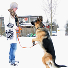 Unsere Tiere der Woche KW 4