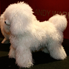 20091129_haustiermesse_0015.jpg