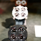 20091129_haustiermesse_0019.jpg