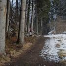 186_bearbeitet-1_jpg-1296225372