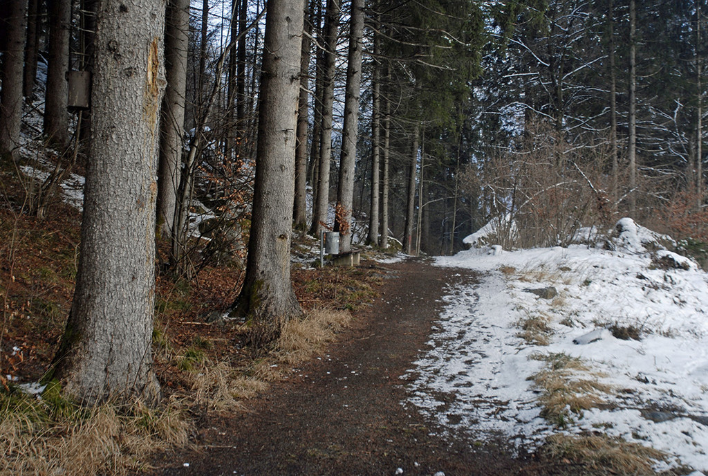 186_bearbeitet-1_jpg-1296225372