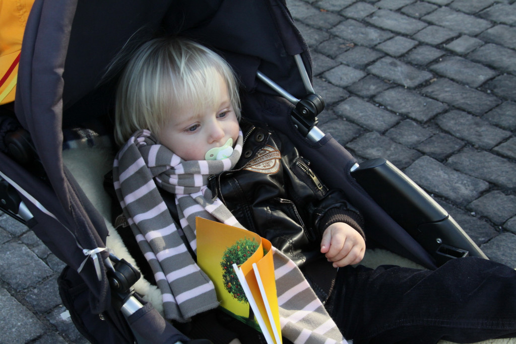 S_Vettel  2011 030_jpg-1296229608