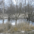 108_9038_jpg-1296238371